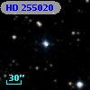 HD 255020