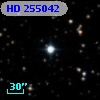 HD 255042