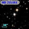 HD 255181