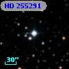 HD 255291