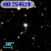 HD 254529