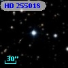 HD 255018