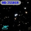 HD 255019