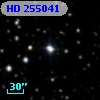 HD 255041