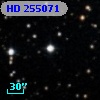 HD 255071
