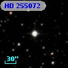 HD 255072