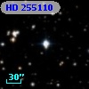 HD 255110
