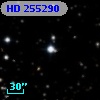 HD 255290