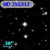 HD 255317