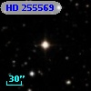 HD 255569