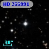 HD 255991