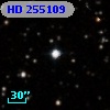 HD 255109