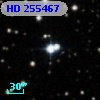 HD 255467