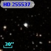 HD 255537