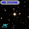 HD 255566