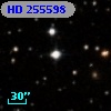 HD 255598