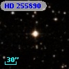 HD 255890