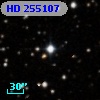 HD 255107