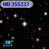 HD 255222