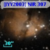 [JYY2003] NIR 307