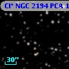 Cl* NGC 2194    PCA      18