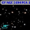 Cl* NGC 2194    PCA      19
