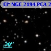 Cl* NGC 2194    PCA      21