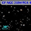 Cl* NGC 2194    PCA      47