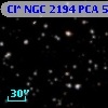 Cl* NGC 2194    PCA      50