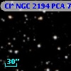 Cl* NGC 2194    PCA      77