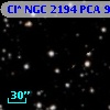 Cl* NGC 2194    PCA      93