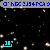 Cl* NGC 2194    PCA      96