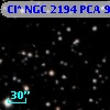 Cl* NGC 2194    PCA      97