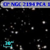 Cl* NGC 2194    PCA     110