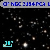 Cl* NGC 2194    PCA     111