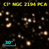Cl* NGC 2194    PCA     124