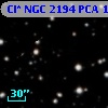 Cl* NGC 2194    PCA     137