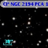 Cl* NGC 2194    PCA     140