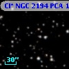 Cl* NGC 2194    PCA     160