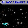Cl* NGC 2194    PCA     162