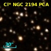Cl* NGC 2194    PCA     166