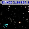 Cl* NGC 2194    PCA     169