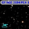 Cl* NGC 2194    PCA     175