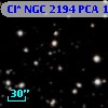 Cl* NGC 2194    PCA     181