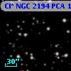 Cl* NGC 2194    PCA     184