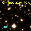 Cl* NGC 2194    PCA     197