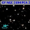 Cl* NGC 2194    PCA     229
