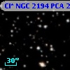 Cl* NGC 2194    PCA     234
