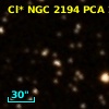Cl* NGC 2194    PCA     236