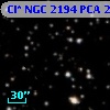 Cl* NGC 2194    PCA     238